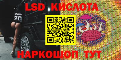 шишки Ипатово