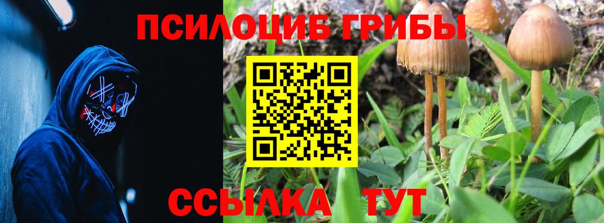 Югорск  Псилоцибиновые грибы GOLDEN TEACHER  Вход с VPN 